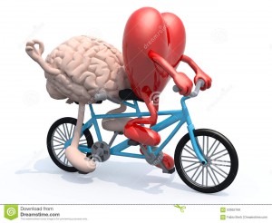 brain-heart-riding-tandem-bicycle-human-arms-legs-d-illustration-53952169