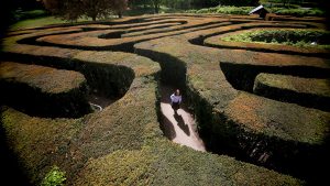 LONDON, ENGLAND - MAY 02: A young girl navigates her way around Hampton Court maze in the spring sunshine on May 2, 2009 in London, England. The Hampton Court maze is one of the most famous hedge mazes in the world and was planted between 1689 and 1695 by George London and Henry Wise. (Photo by Dan Kitwood/Getty Images)